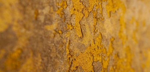 Marmo Antico – Textura Decorativa
